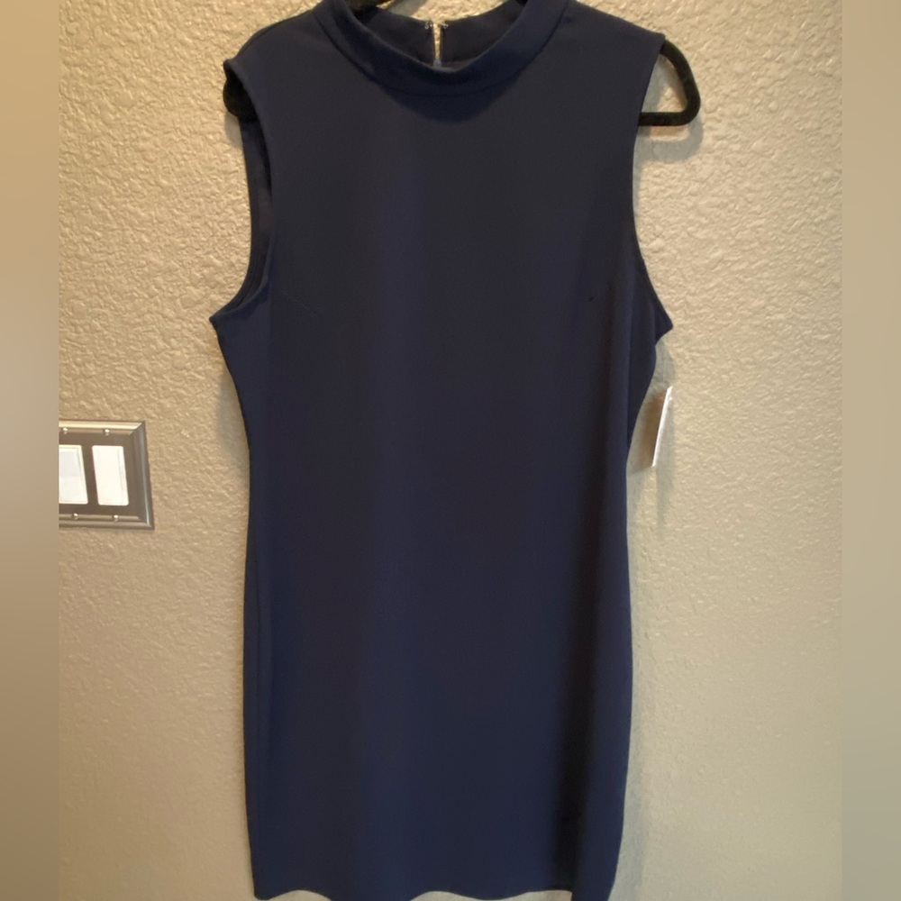 Sharagano Navy Sleeveless Mini Dress